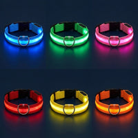 Collier lumineux LED disponible en 6 couleurs