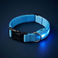Collier lumineux LED bleu