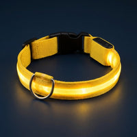 Collier lumineux LED jaune