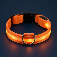 Collier lumineux LED orange