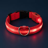 Collier lumineux LED rouge