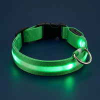 Collier lumineux LED vert
