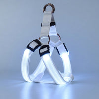 Harnais LED Clair de Truffe blanc