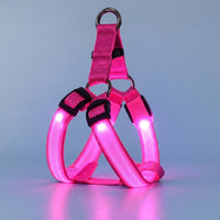 Harnais LED Clair de Truffe rose