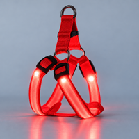 Harnais LED Clair de Truffe rouge